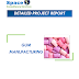 Project Report on Gum Manufacturing