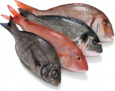 Curiosidades de cocina: ¿Por qué se cuece el pescado antes que las otras  carnes?