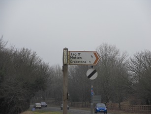 SDC10088