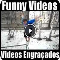 compilation - videos engraçados