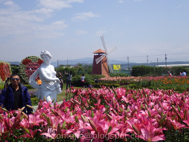 Zhongshe flower market taichung