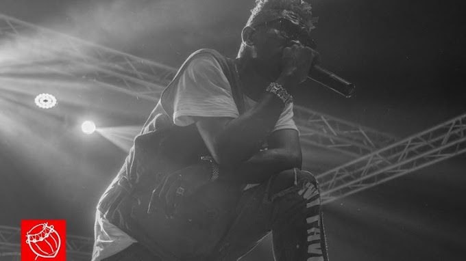 Stonebwoy, Samini now agree I am the Dancehall King – Shatta Wale brags at Tema concert