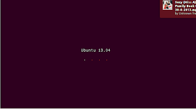 Installing Ubuntu 13.04 _2