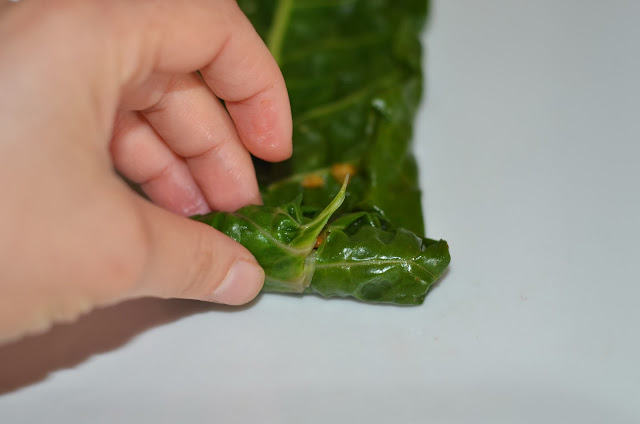 rolling silverbeet leaves