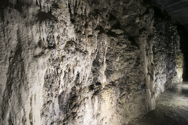 Cantine Marchesi Mazzei-Cantina e barricaia