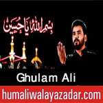 http://www.humaliwalayazadar.com/2017/09/ghulum-ali-nohay-2018.html