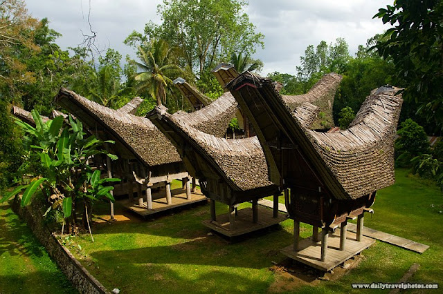 Tongkonan - Traditional houses of Sulawesi, Indonesia 