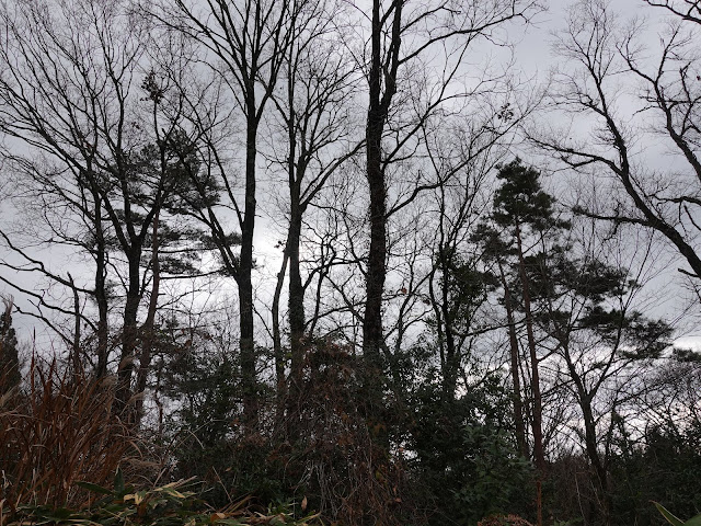 真野集落への降りる道を上ります　途中の風景