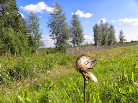 summer, Finland