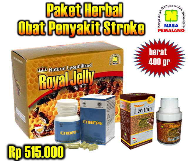 Paket Obat Herbal Nasa Untuk STROKE