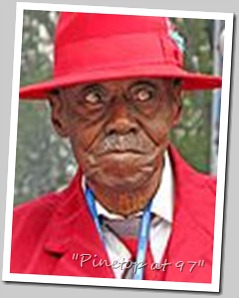 Pinetop Perkins 007