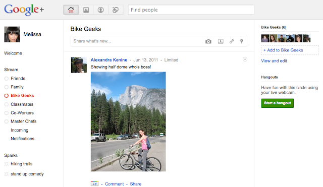 Screenshot: Google+ Stream