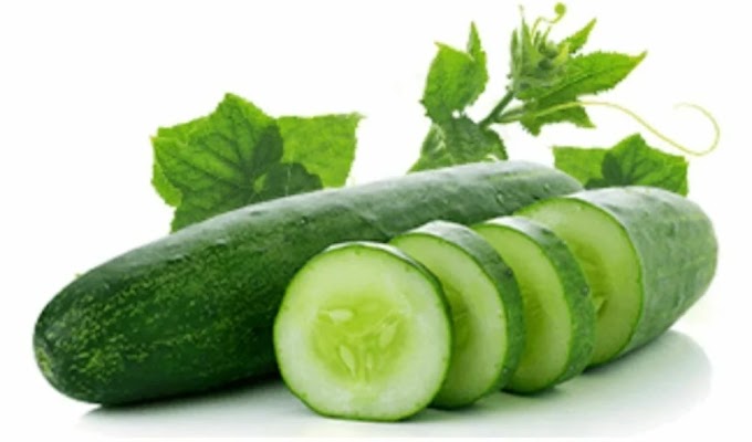The Health Benefits of Cucumbers