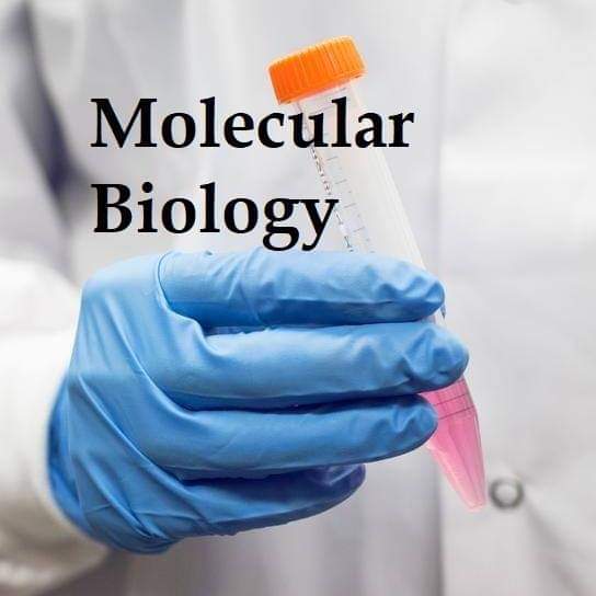 Waa maxey molecular biology? Sidee loo isticmaalaa
