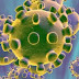 Koronavirüs salgını ne zaman bitecek? Muhtemel tarih nedir?
