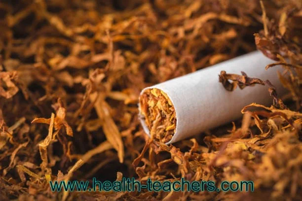 Tobacco products are having dangerous effects on the environment - Health-Teachers