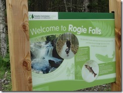 Rogie Falls