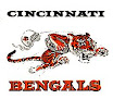 More About Cincinati Bengals