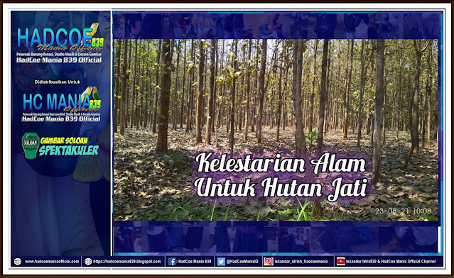 Kelestarian Alam Untuk Hutan Jati