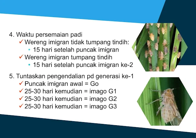 Peta Singkap Materi Penyuluhan Pertanian