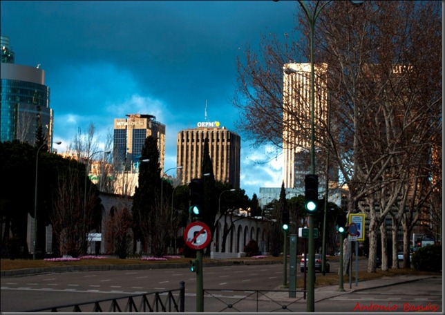DSC_2697_1
