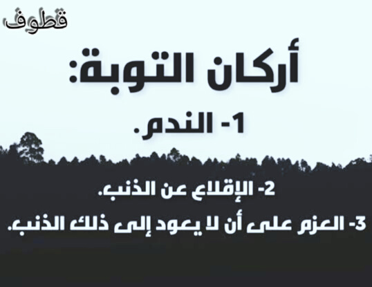 الندم على الذنب الندم توبة الندم على الذنب والنفس اللوامة الندم من التوبة