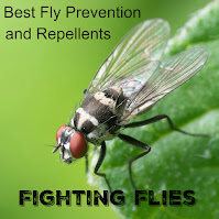 Fighting Flies - Best Fly Prevention and Repellents - a close up of a fly