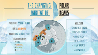The Changing Habitat of Polar Bear