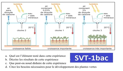 Evaluation diagnostique svt-1bac sc ex op fr