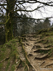 {Erin Out and About} Staying in Rydal, Cumbria Lake District; Coffin Trail