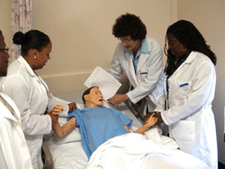 Nurses in Training