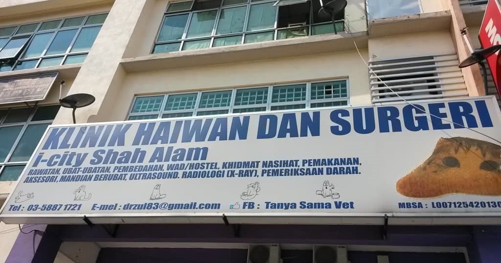 Klinik Haiwan Surgeri I City Shah Alam Programmer By Day Lifestyle Bloggger