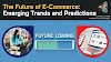 The Evolution and Future of E-commerce: Embracing Digital Commerce