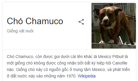 Chó Chamuco