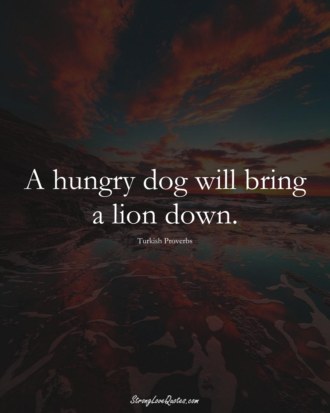 A hungry dog will bring a lion down. (Turkish Sayings);  #MiddleEasternSayings