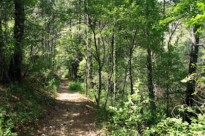 gorges Riou sentier