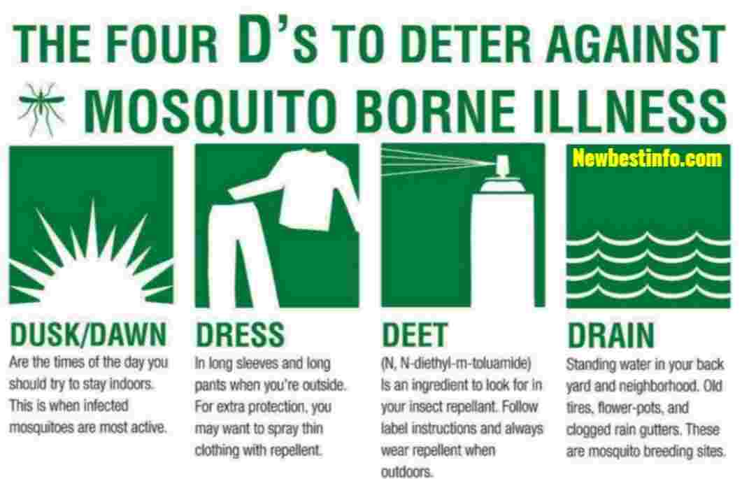 Easy Ways to Prevent Mosquito Bites