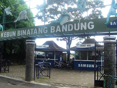 kebun-binatang-bandung