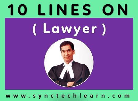 short essay on Lawyer