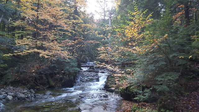 Petite rivière juste avant la jonction pour le sentier vers le mont Colvin