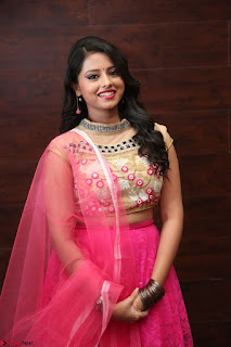 Geethanjali sizzles in Pink at Mixture Potlam Movie Audio Launch 036.JPG