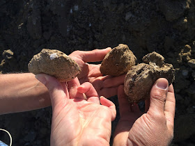 winemaking soils of Tuscany