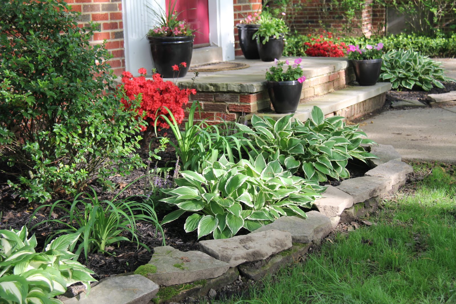 Stranded in Cleveland: Front Yard Transformation  Our 