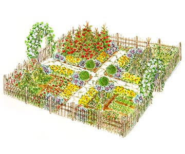 Kitchen Garden Design