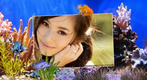Style Proshow Producer Screen Saver From Duyanh20