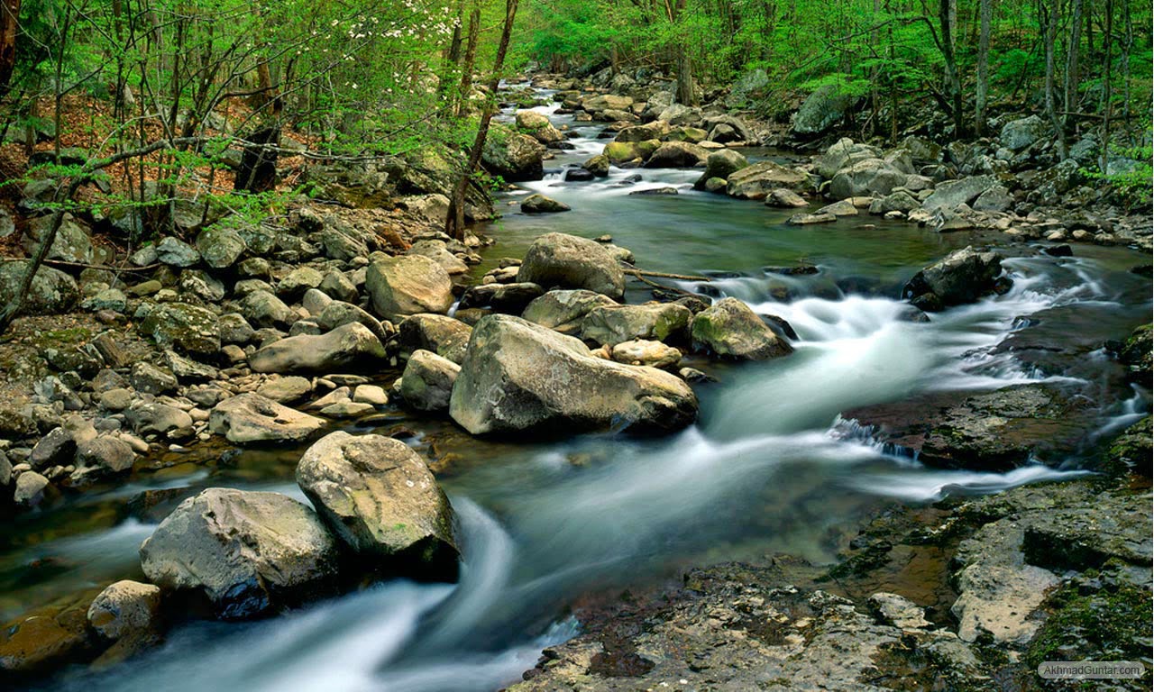 Wallpaper Pemandangan Sungai Stok Wallpaper