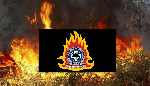 1 ΣΥΛΛΗΨΗ για πυρκαγιά στο Δήμο Σπάρτης και 500€ πρόστιμο