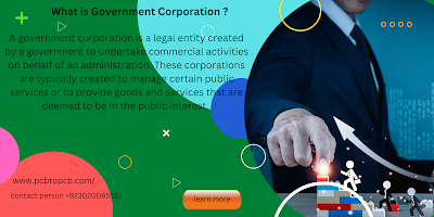 What is Government Corporation?