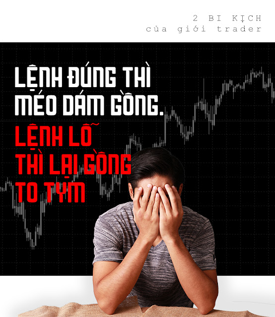 tán gia bại sản nếu không biết lý do thua lỗ khi chơi forex