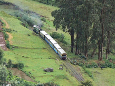 Shall we go on a trip to Green Coonoor?!